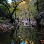 20241022-PXL_20241022_130355889.MP