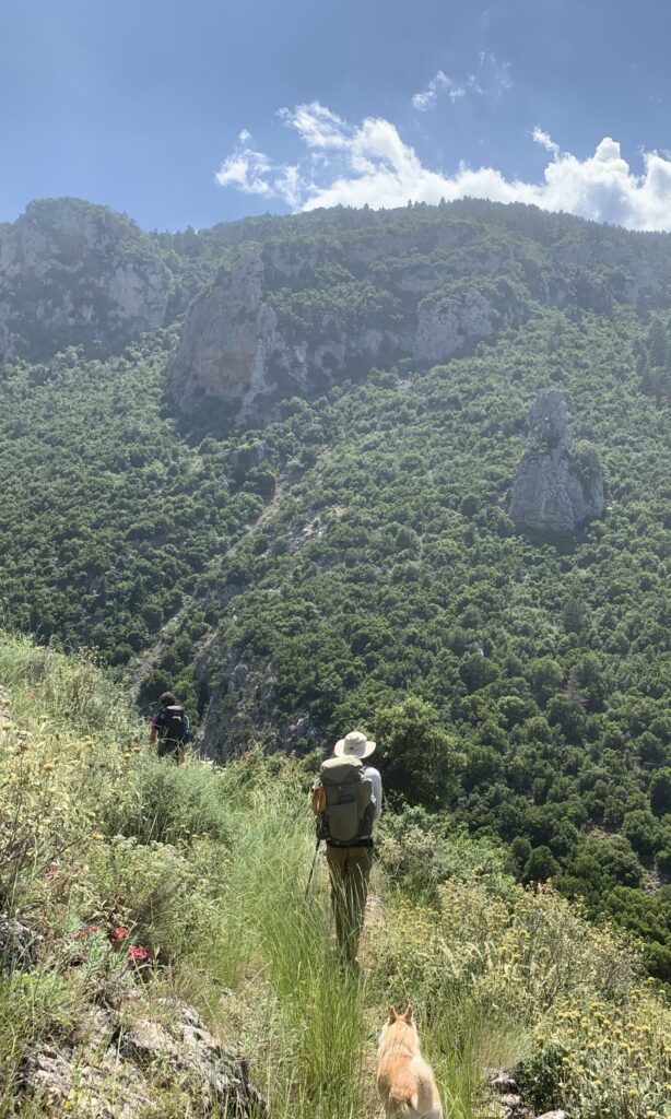 Prastos to Kastanitsa path on the Nomia Trail