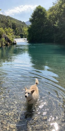 Alfeios River