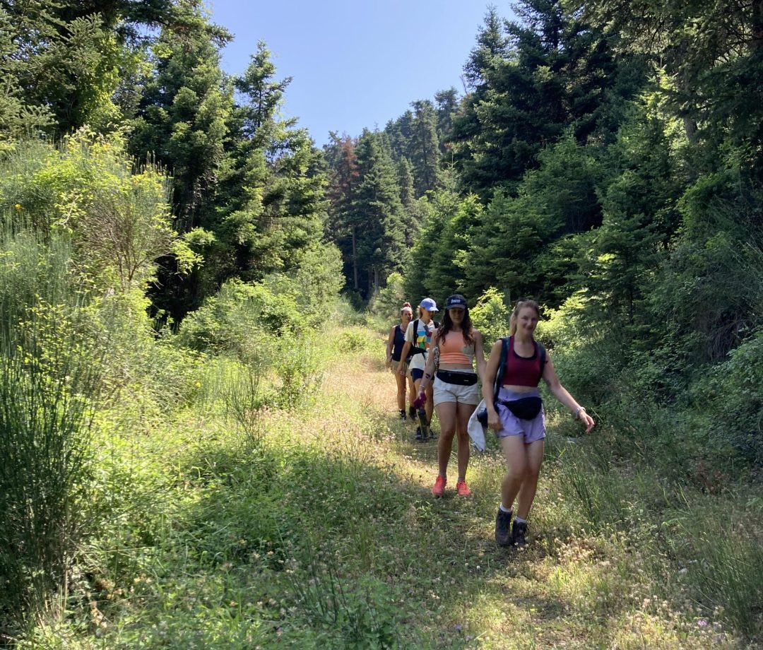 Kosmas loop Kosmas loop