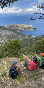 ACP - Nomia Blog - see view