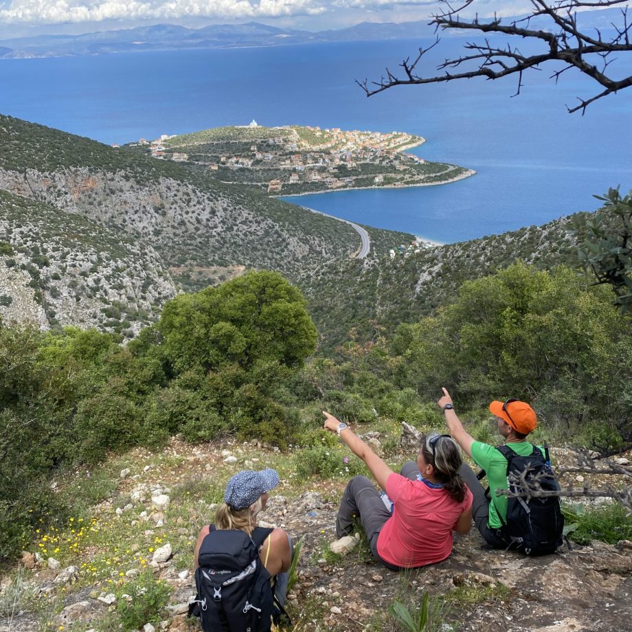 ACP - Nomia Blog - see view