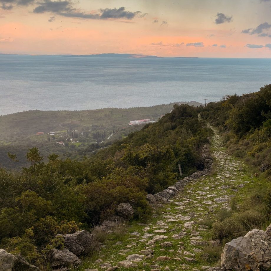 NOMIA Experience path Sampatiki view