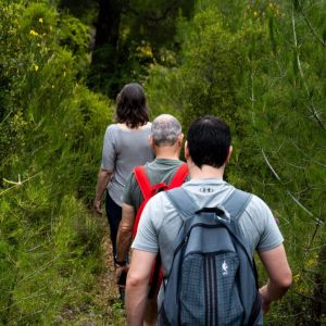 Nature walk